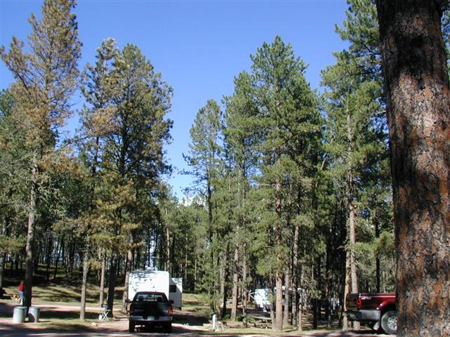 To The Black Hills