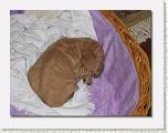 IMG_0138 * 652 x 492 * (51KB)