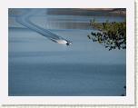 IMG_5982 * 2592 x 1944 * (1.94MB)