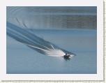 IMG_5982a * 1024 x 767 * (65KB)