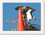 IMG_6171 * 612 x 462 * (34KB)