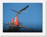 IMG_6261 * 612 x 461 * (24KB)