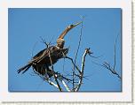 IMG_6479 * 612 x 461 * (35KB)