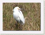 IMG_6482 * 612 x 462 * (89KB)
