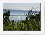 IMG_6560 * 612 x 461 * (65KB)