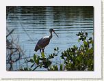 IMG_6617 * 612 x 461 * (55KB)