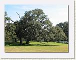 IMG_6715 * 612 x 461 * (79KB)