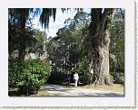 IMG_6774 * 612 x 472 * (98KB)