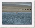 IMG_6789 * 612 x 461 * (55KB)