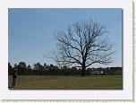 IMG_6818 * 612 x 441 * (45KB)