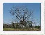 IMG_6822 * 612 x 461 * (59KB)
