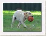 IMG_7126 * 612 x 467 * (32KB)