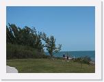 IMG_7973_cr * 1391 x 1043 * (586KB)