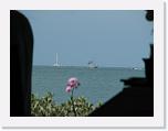 IMG_8007 * 2592 x 1944 * (1.57MB)