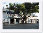 IMG_8101 * 2592 x 1944 * (2.7MB)