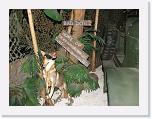 IMG_8309 * 2592 x 1944 * (2.72MB)