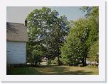 IMG_0029 * 3264 x 2448 * (1.99MB)