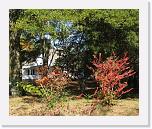 IMG_0185 * 2545 x 2106 * (1.77MB)
