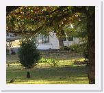 IMG_0292 * 1750 x 1553 * (523KB)