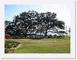 IMG_0135 * 3264 x 2448 * (3.31MB)