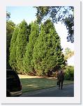 IMG_0247 * 3264 x 2448 * (3.98MB)