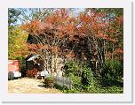 IMG_0250 * 3264 x 2448 * (4.82MB)