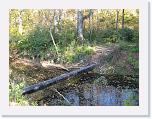 IMG_0269 * 3264 x 2448 * (4.02MB)