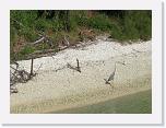 IMG_0432 * 1510 x 1109 * (415KB)