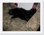 IMG_0425 * 3264 x 2448 * (4.39MB)
