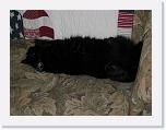 IMG_0426 * 3264 x 2448 * (4.13MB)