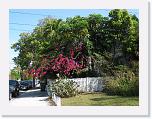 IMG_0629 * 3264 x 2448 * (5.41MB)