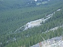IMG_2993