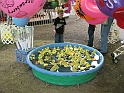 IMG_3083
