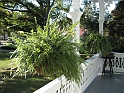 IMG_3130