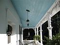 IMG_3131